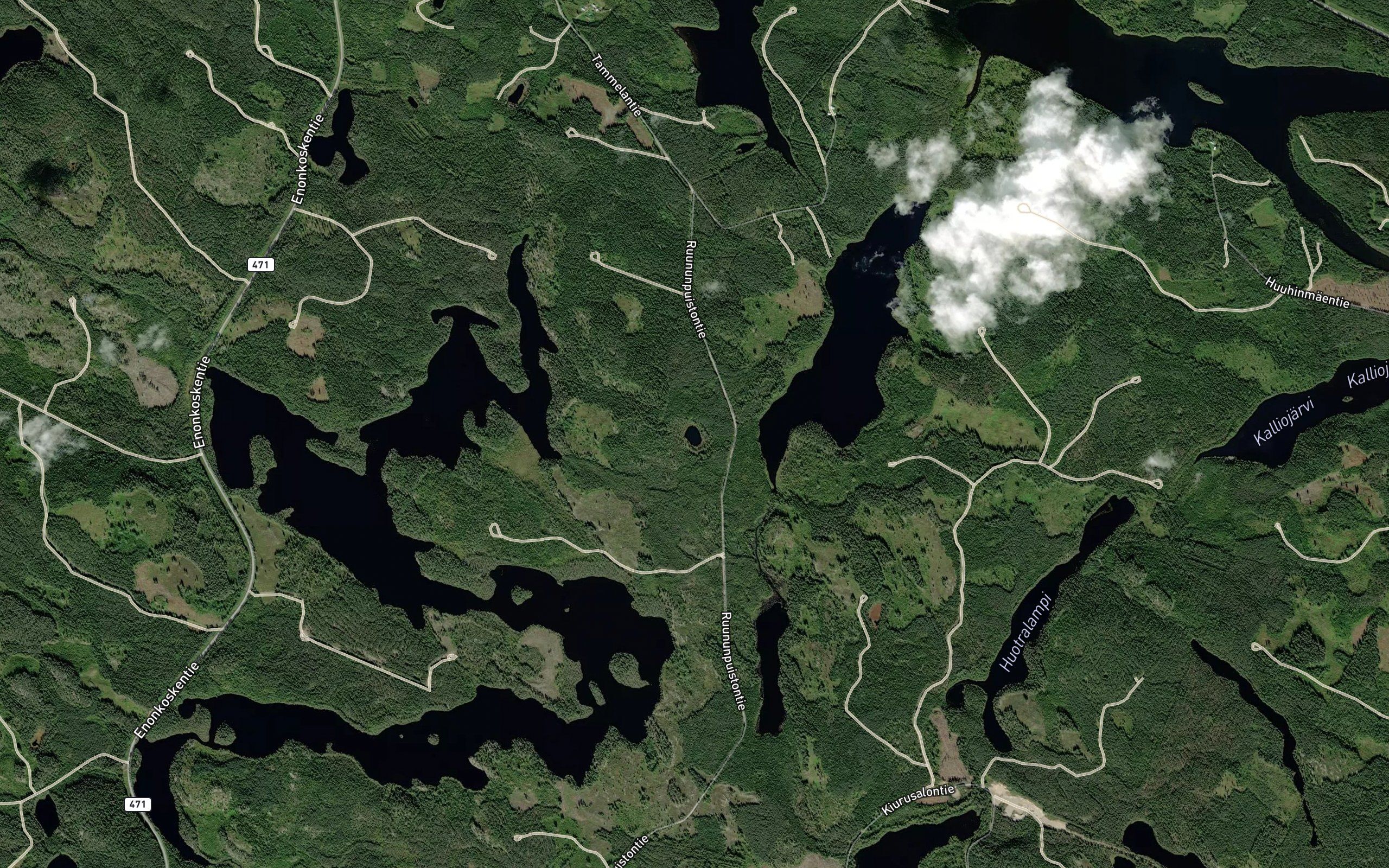 Varkkilampi