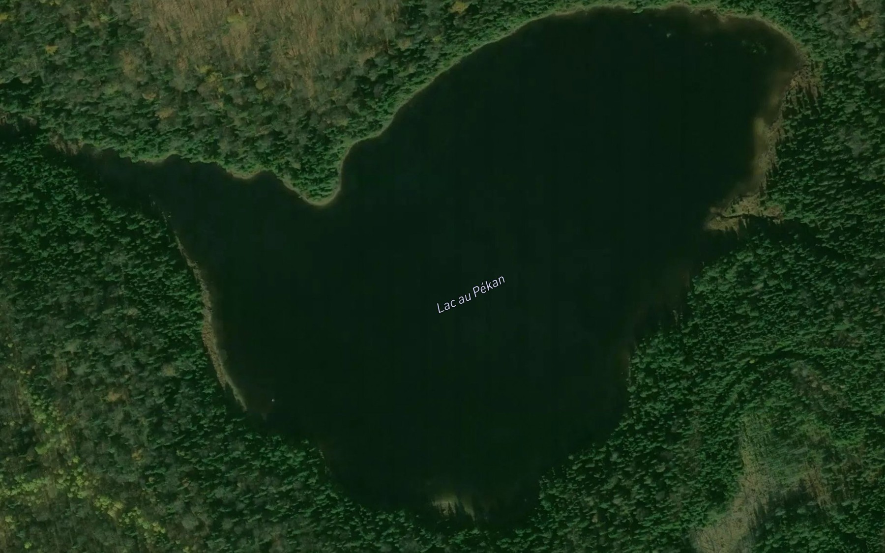 Satellite map of the Lac au Pekan