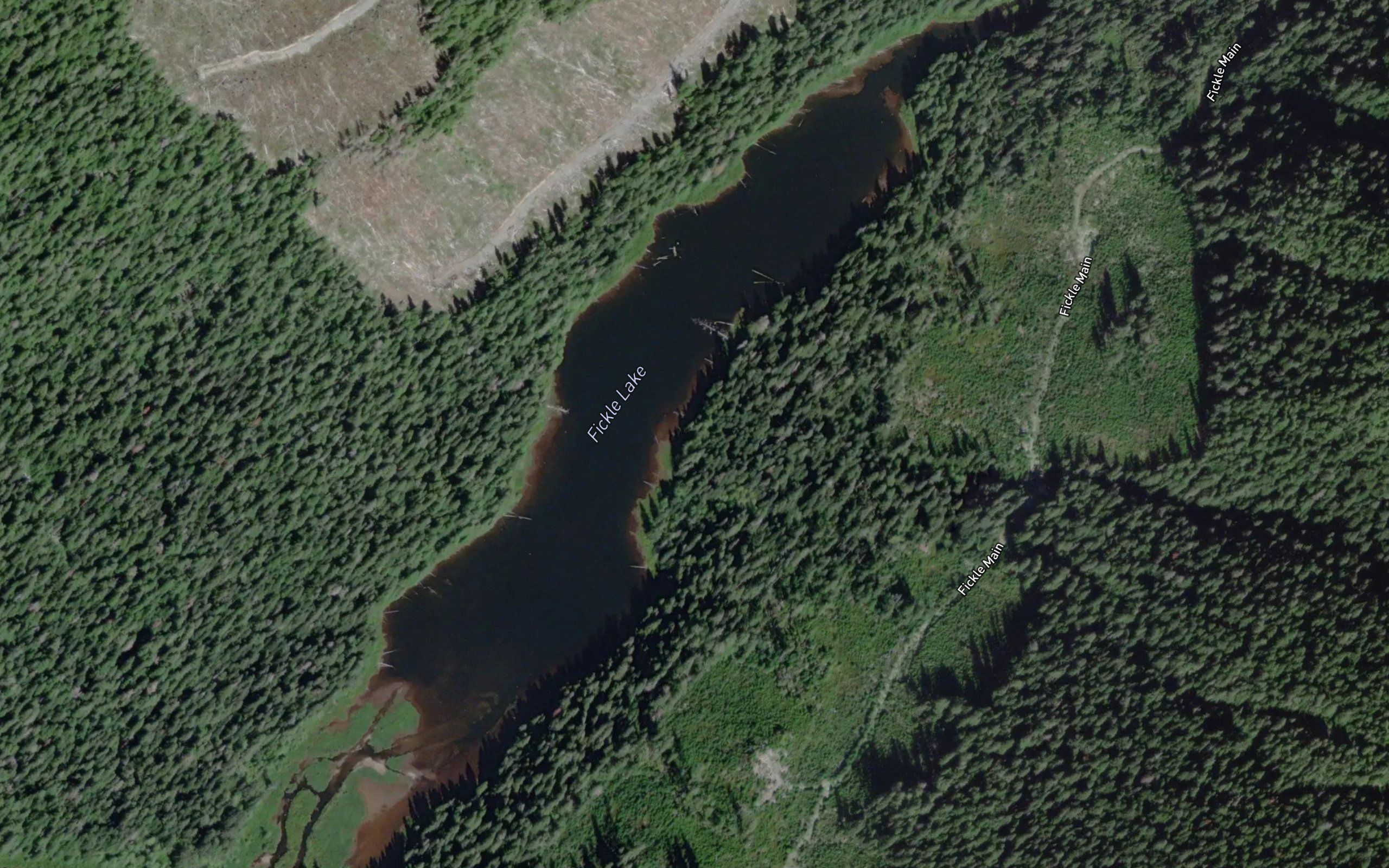 Fickle Lake