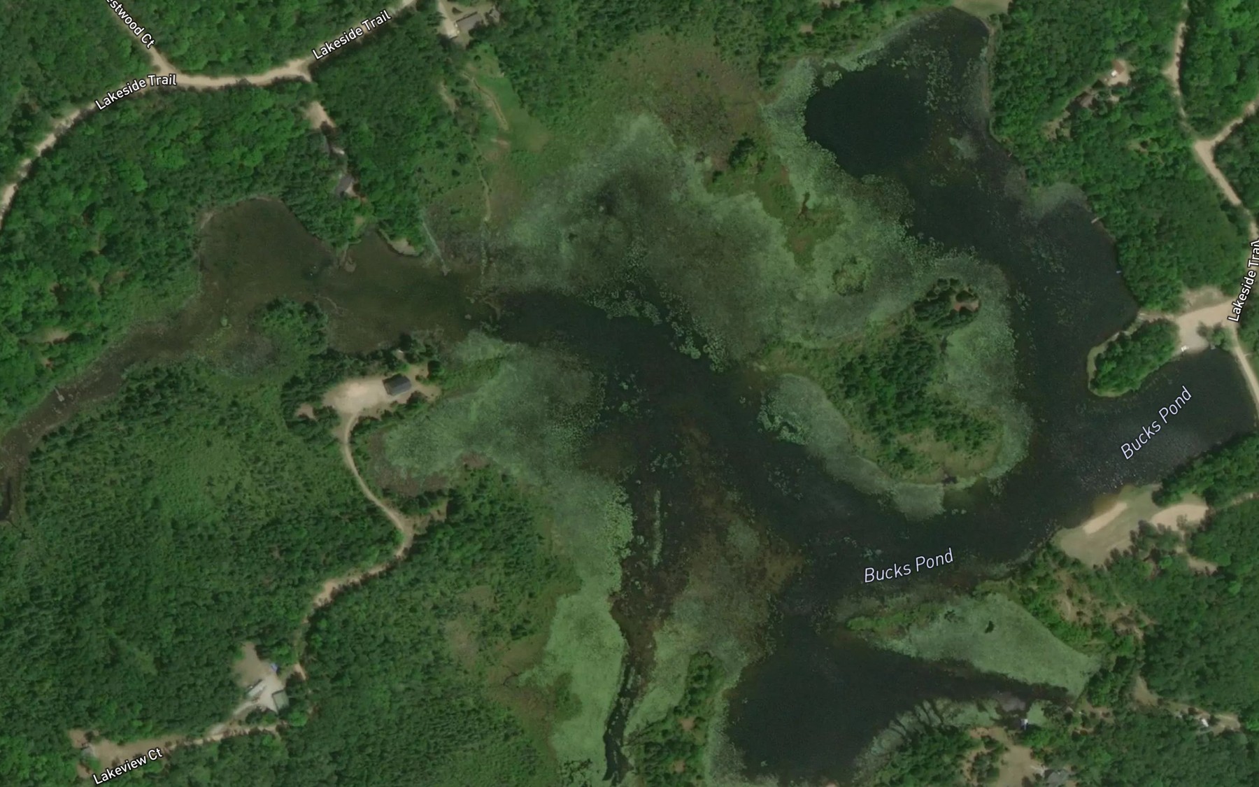 Satellite map of the Bucks Pond