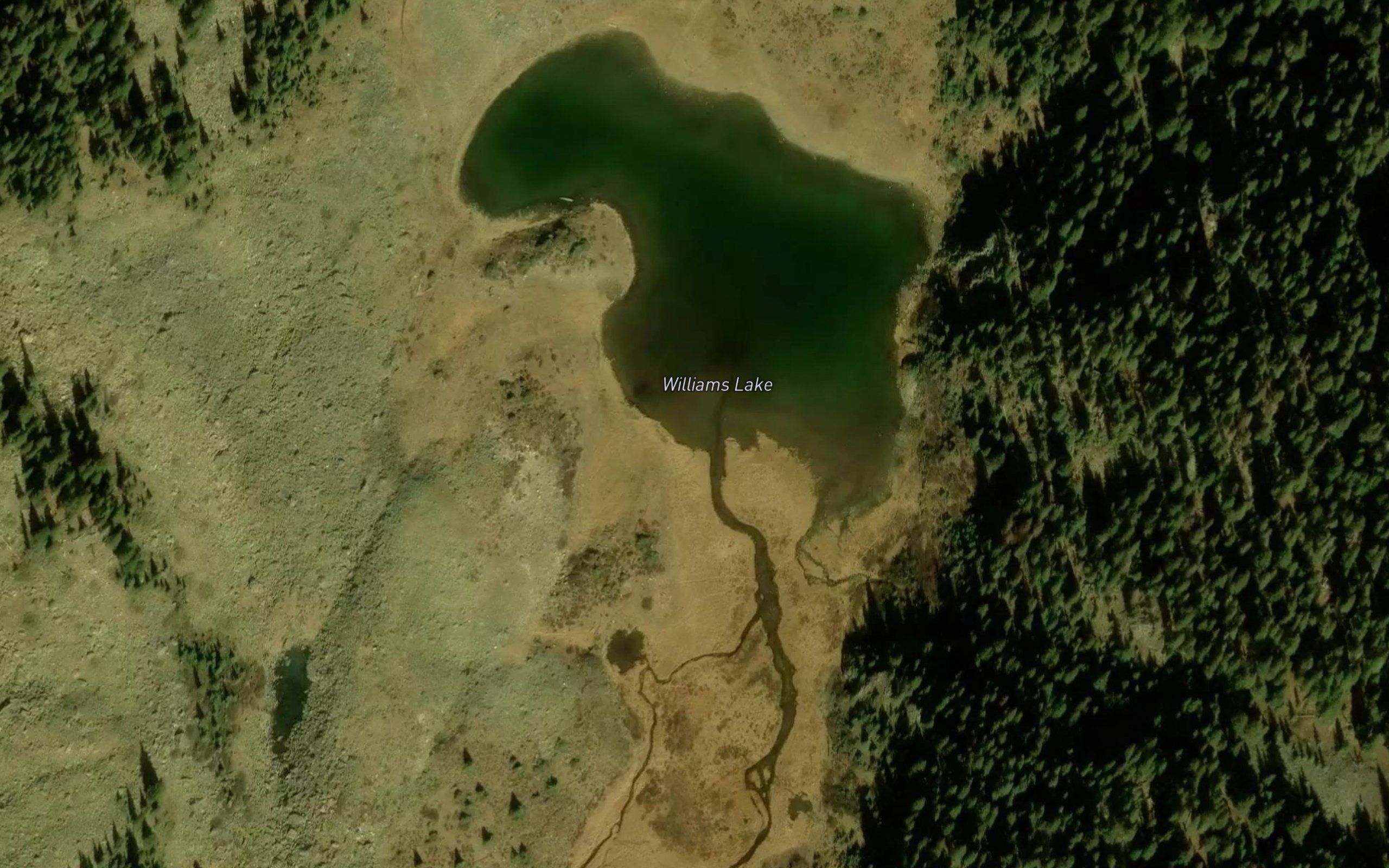 Williams Lake