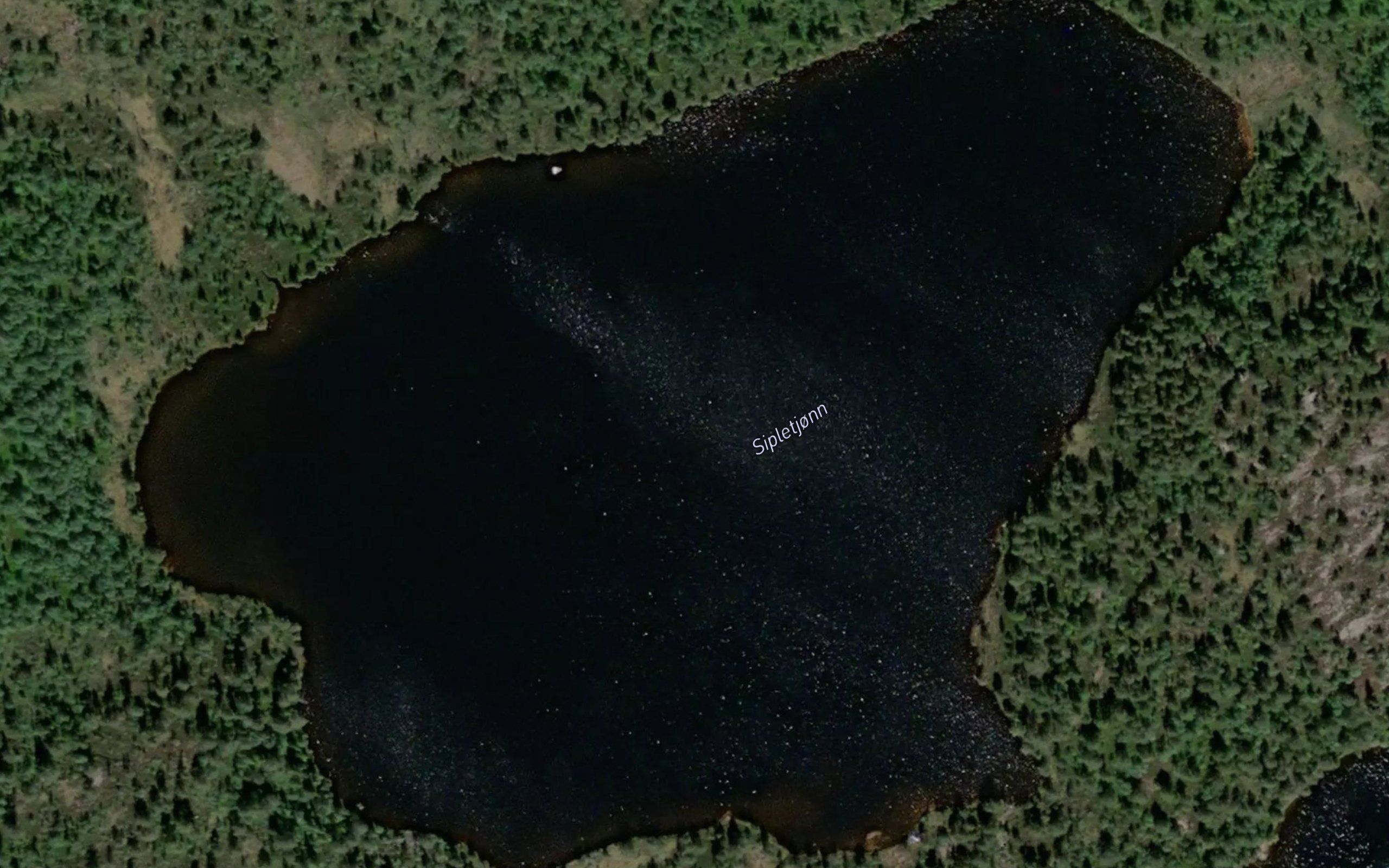 Sipletjorn