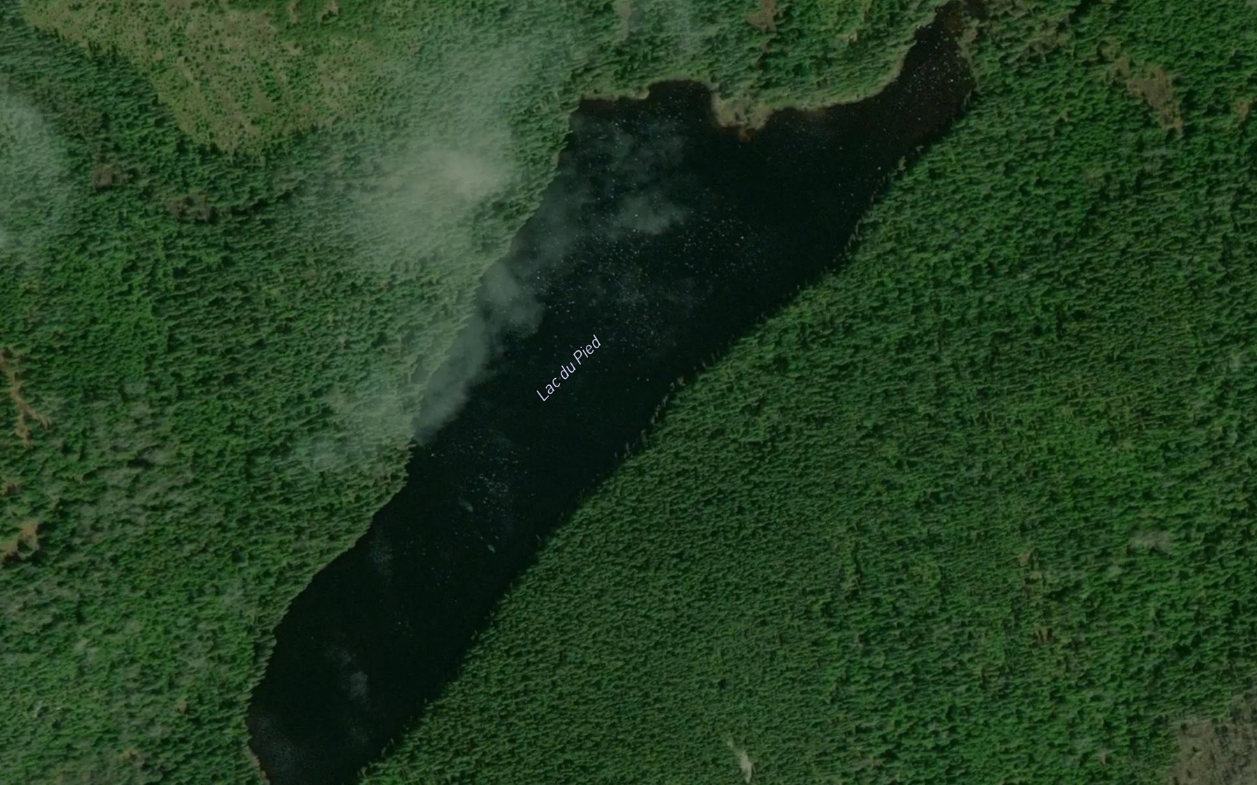 Satellite map of the Lac du Pied