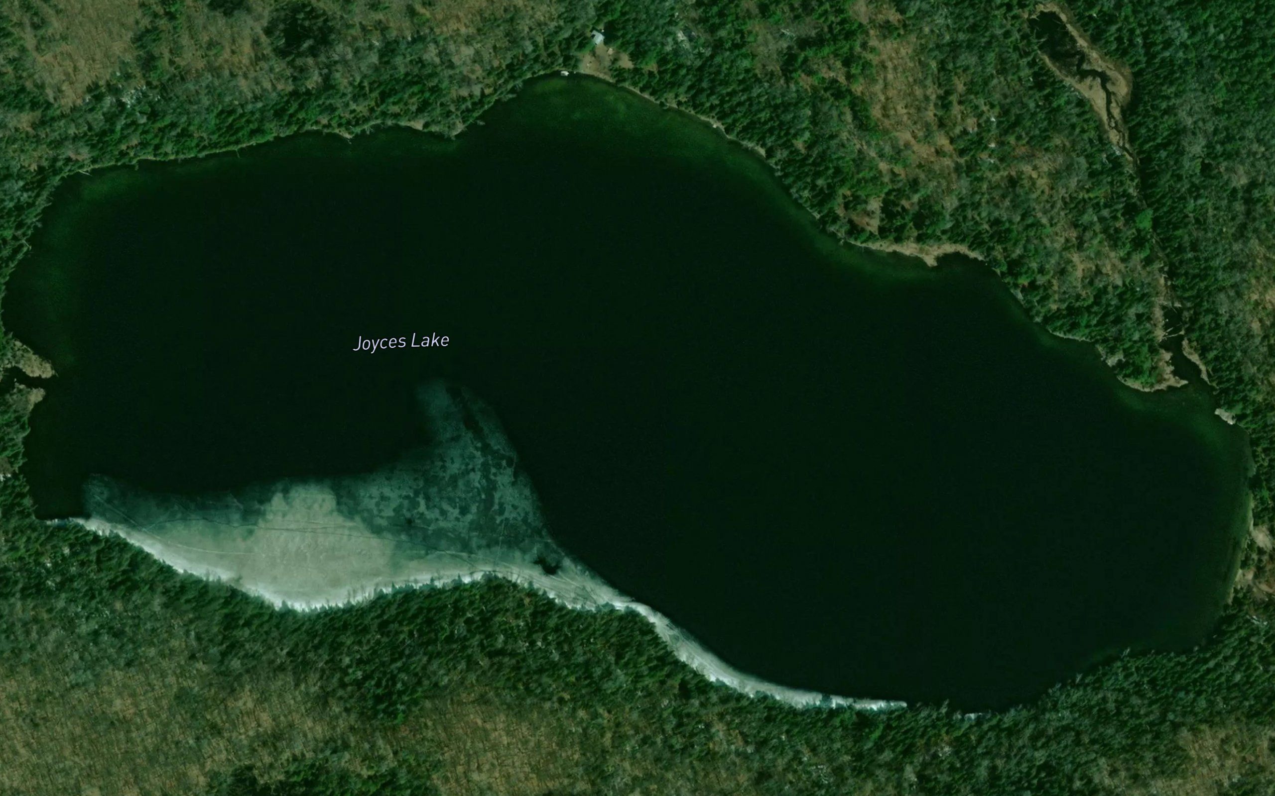 Joyces Lake