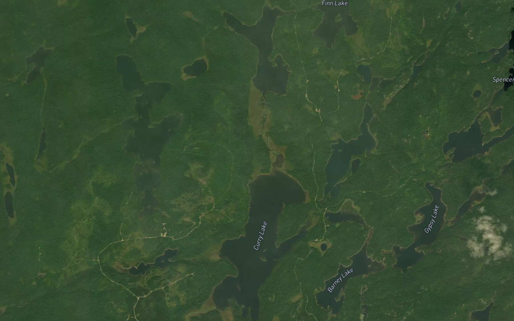 Satellite map of the Curry Lake