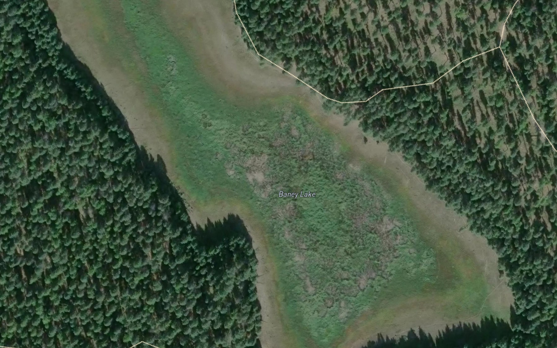 Satellite map of the Baney Lake