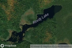 Reedy Lake