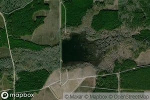Covington Pond