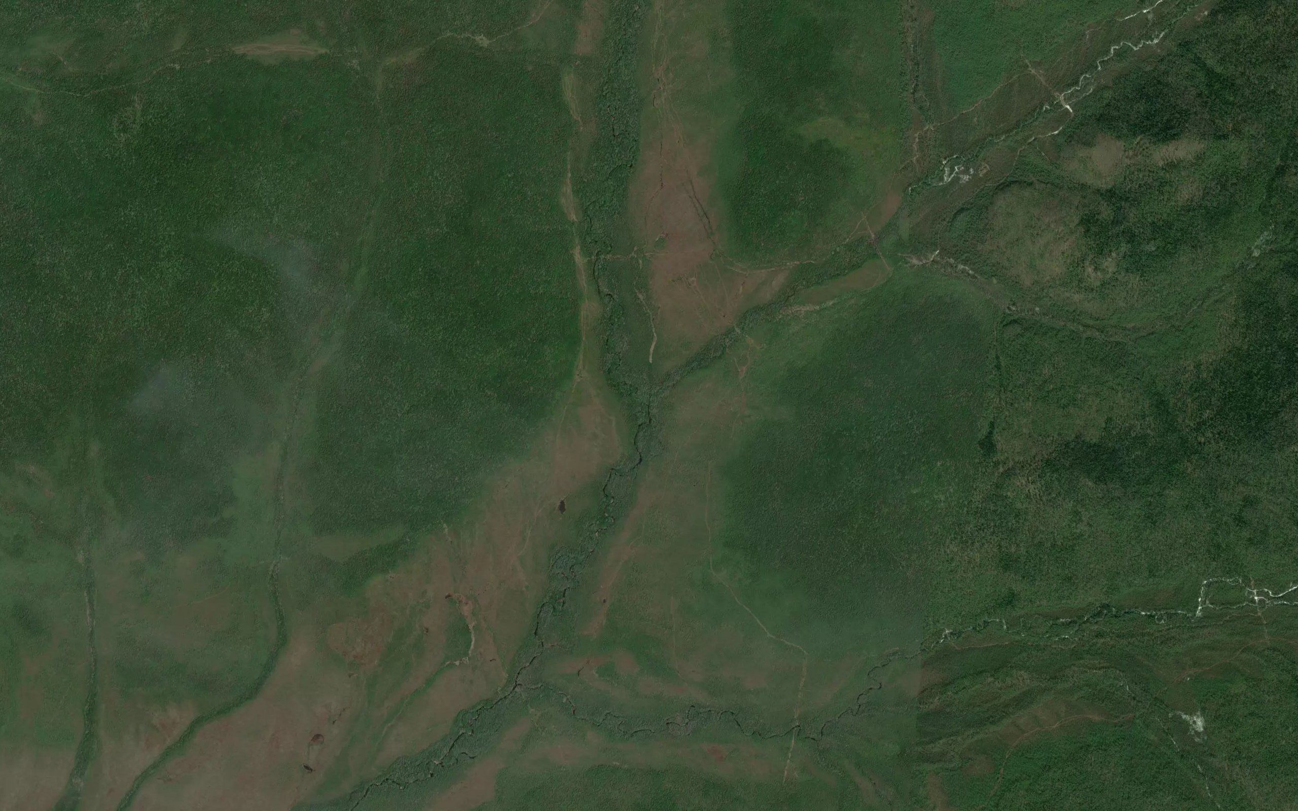 Sil'bakhichi
