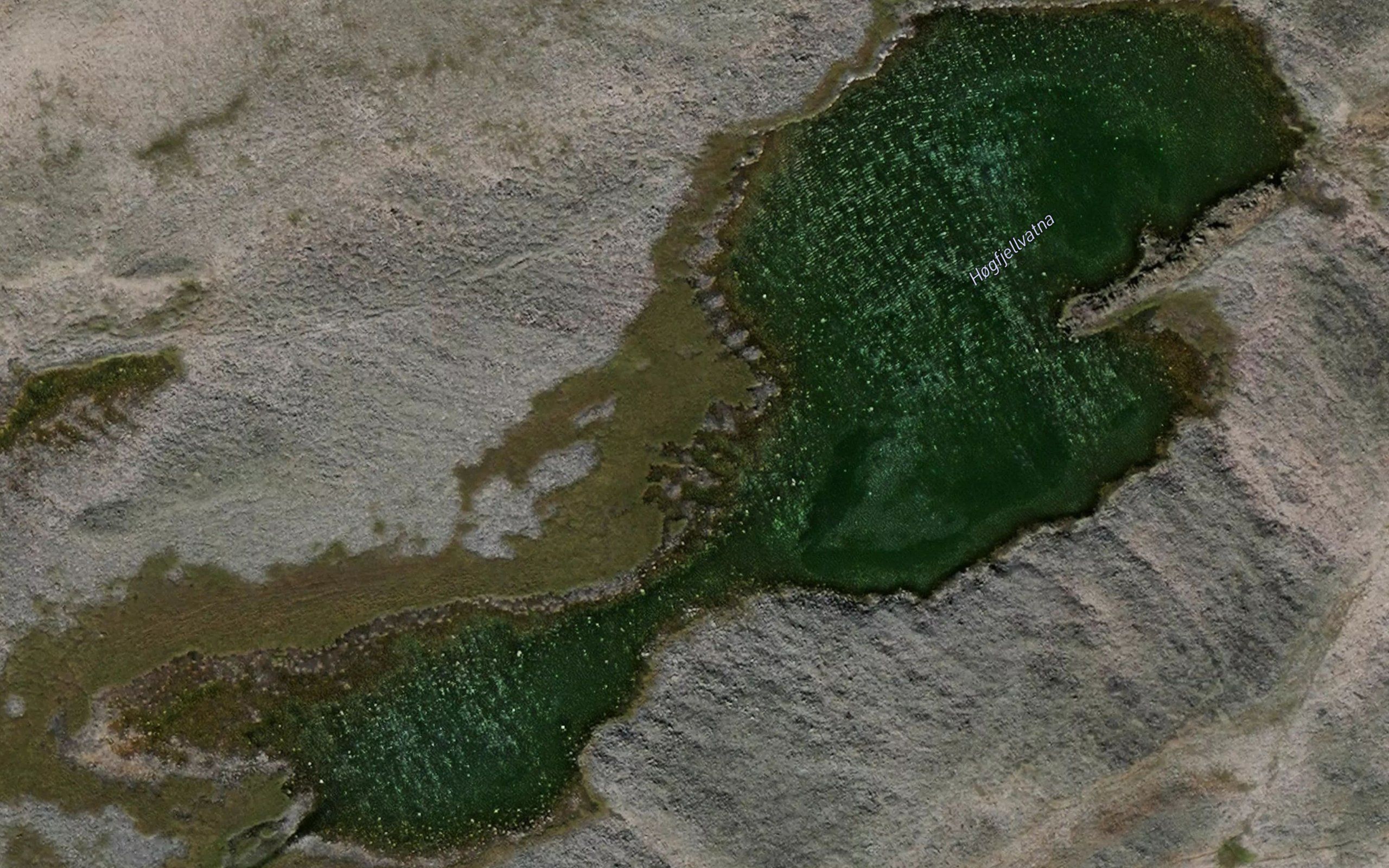 Hogfjellvatna