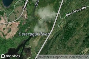 Mosquito Creek