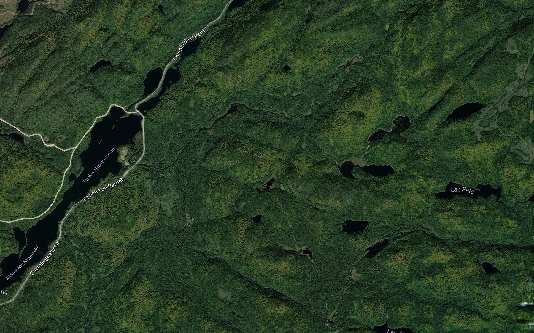 Satellite map of the Lac Birch