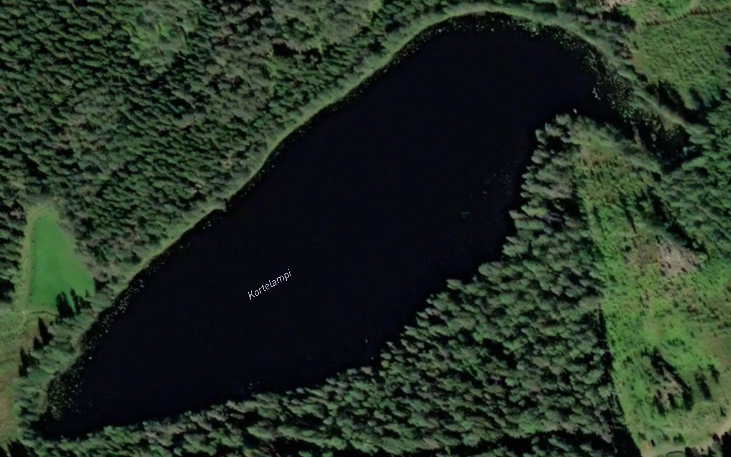 Kortelampi