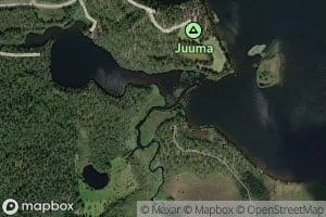 Lummiskonjoki