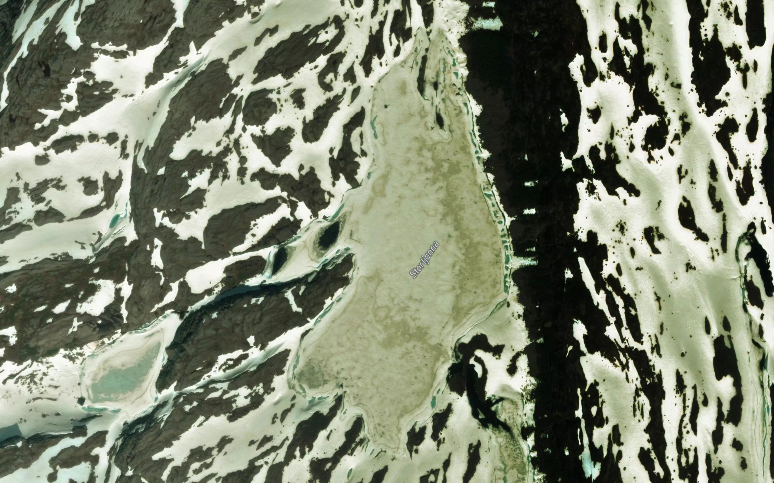 Stortjonna