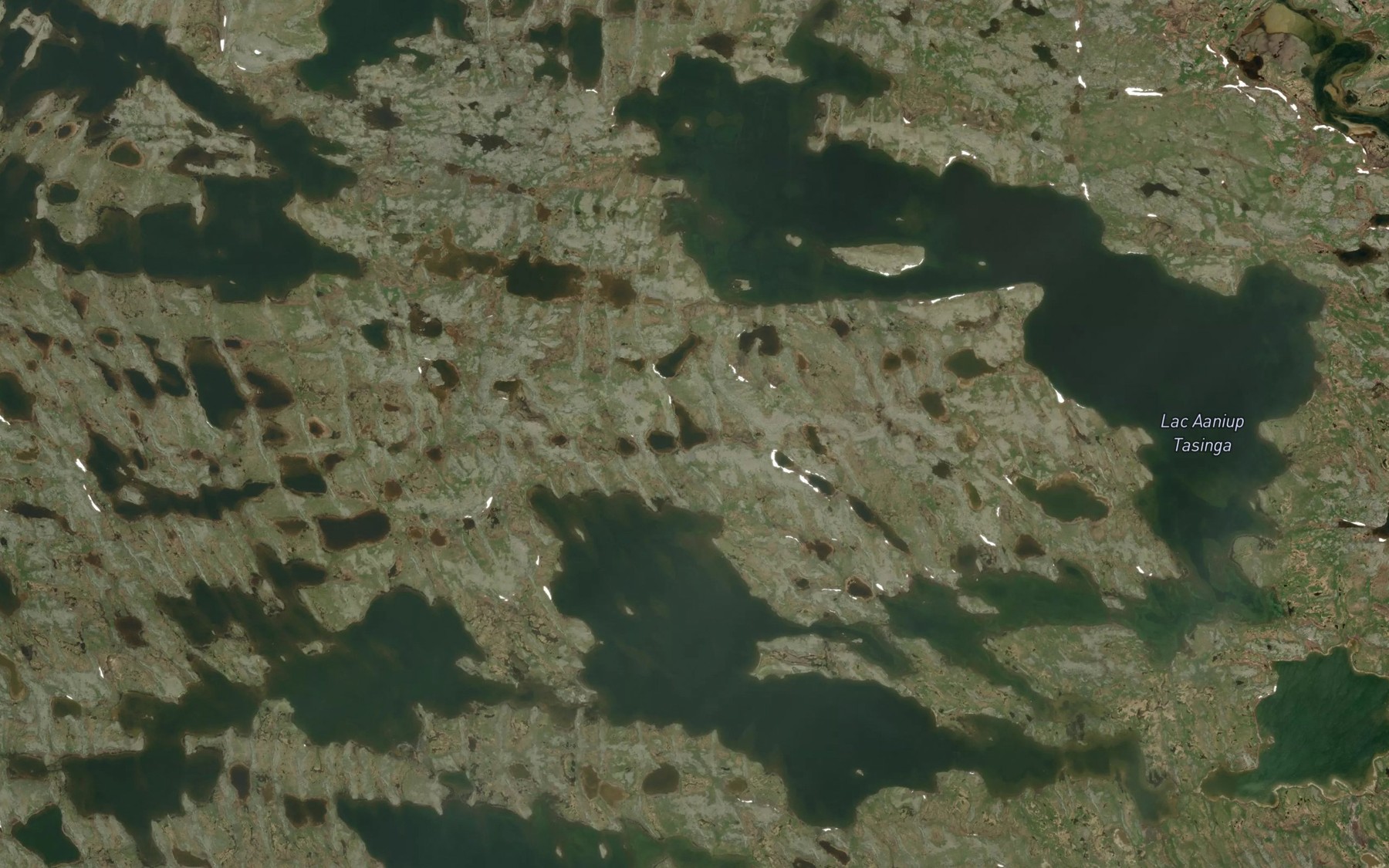 Satellite map of the Lac Aaniup Tasinga