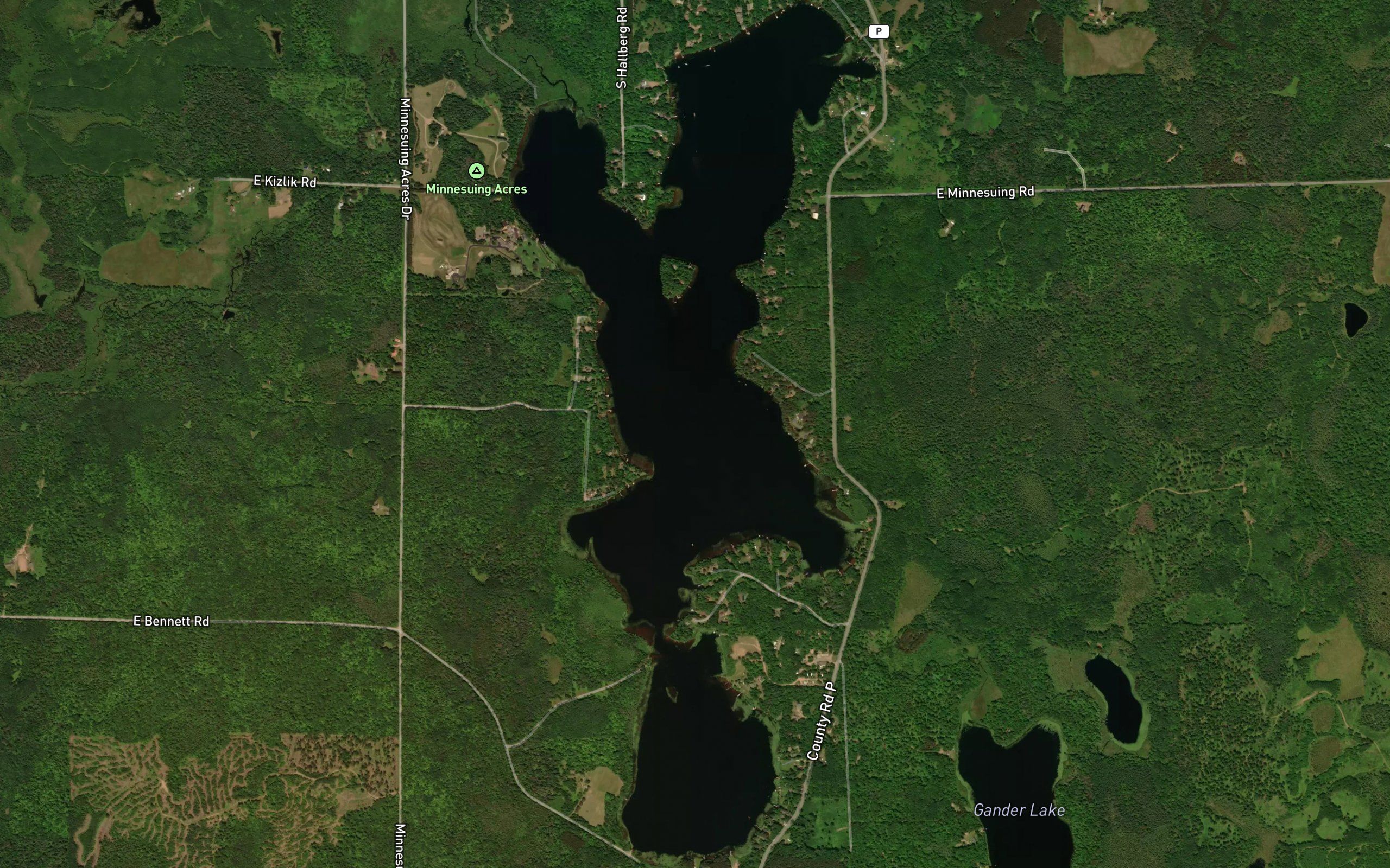 Lake Minnesuing