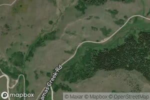 Miners Creek Spring