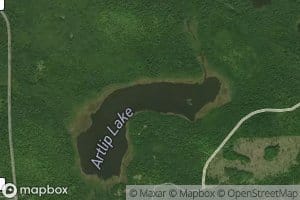 Artlip Lake