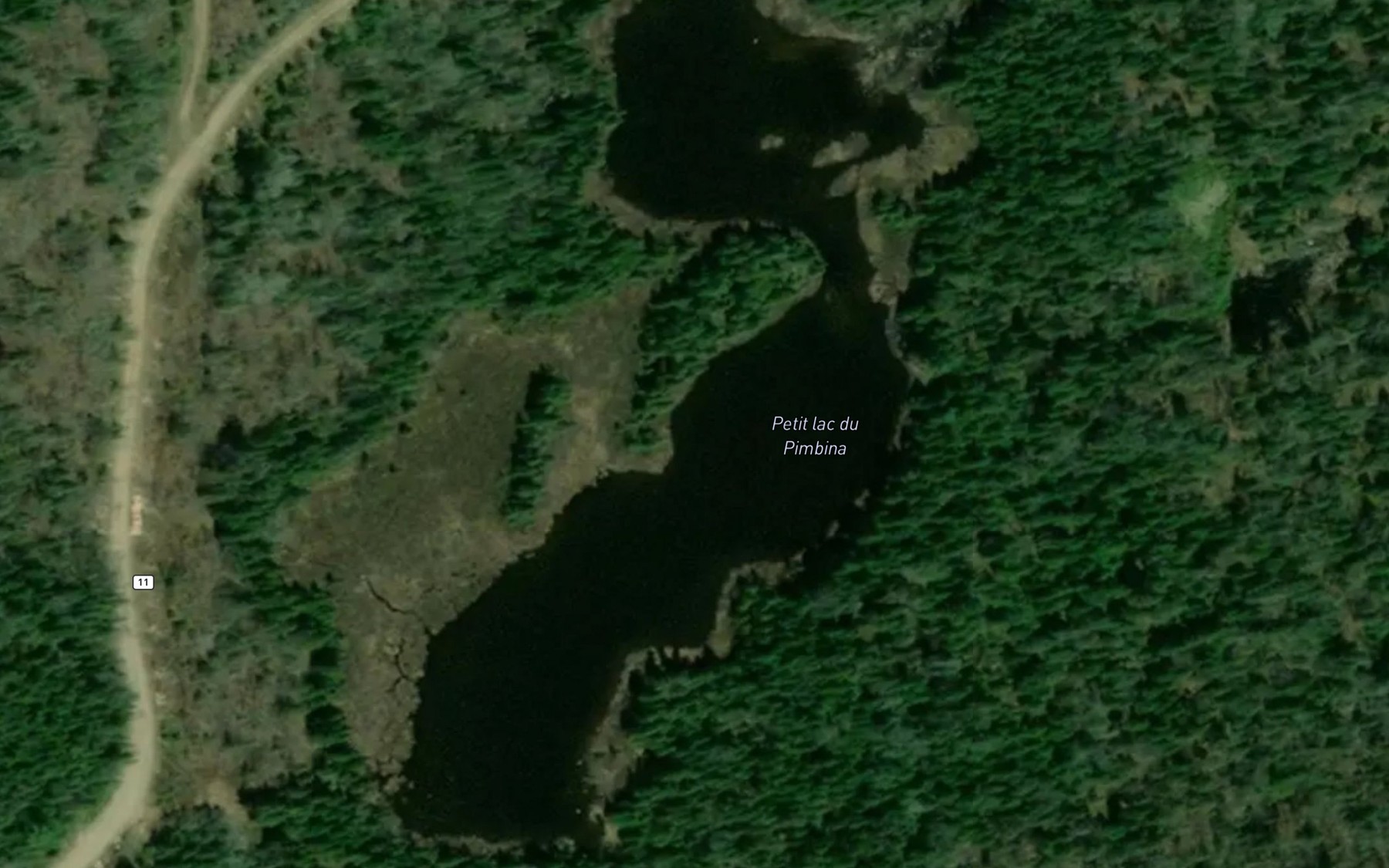 Satellite map of the Petit lac du Pimbina