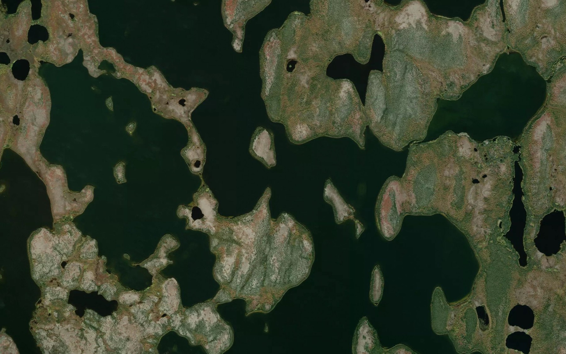 Satellite map of the Baird Lake