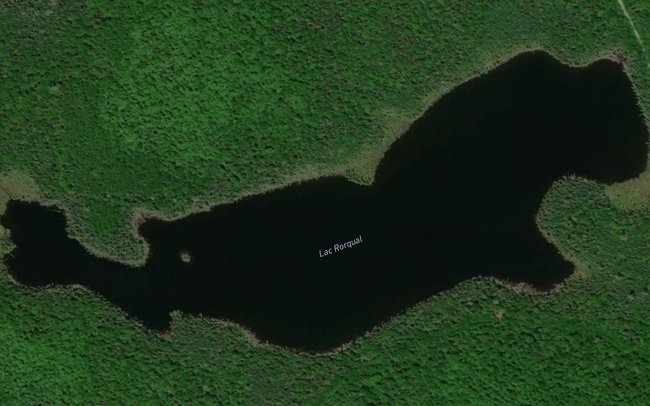 Lac Rorqual