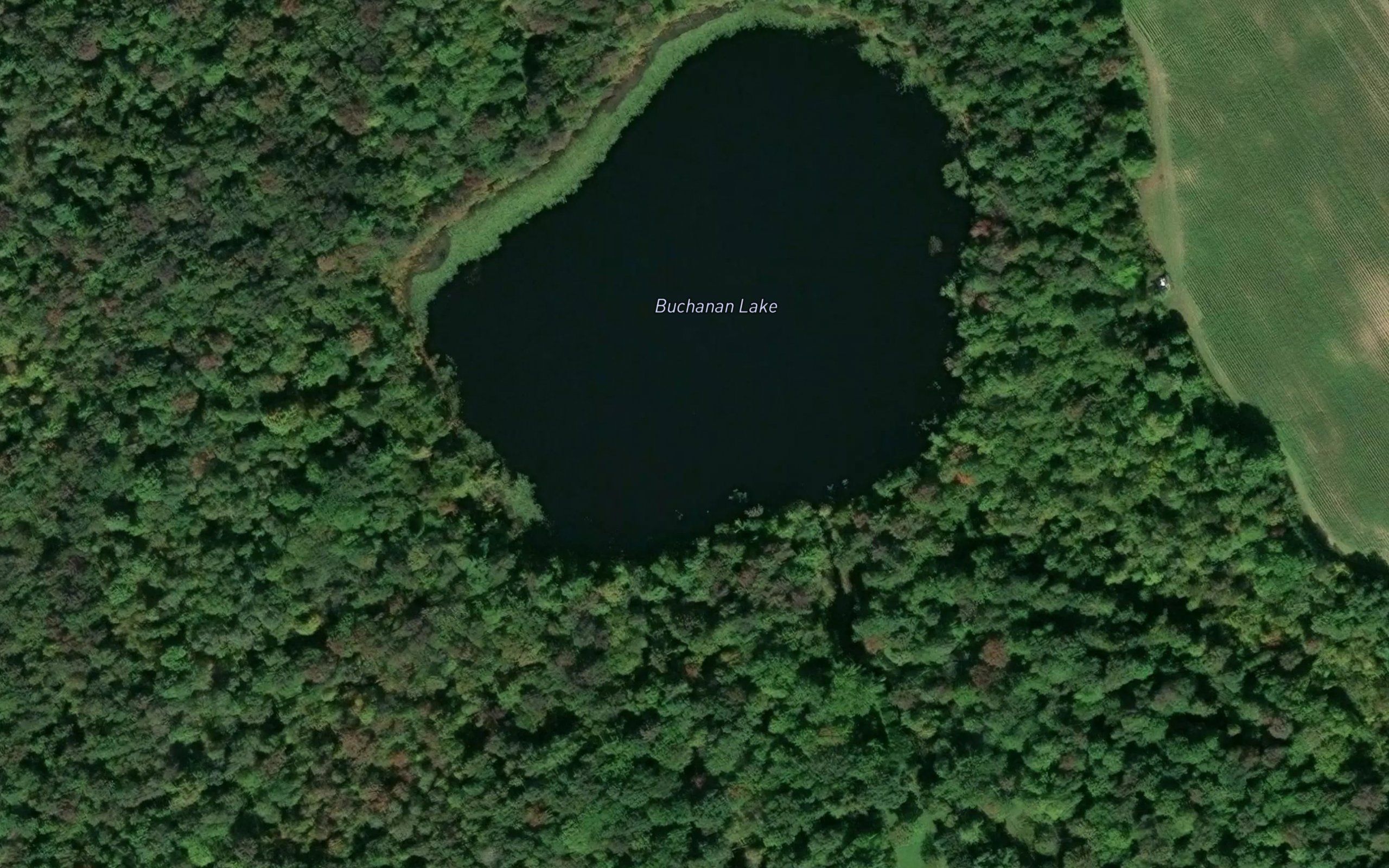 Buchanan Lake