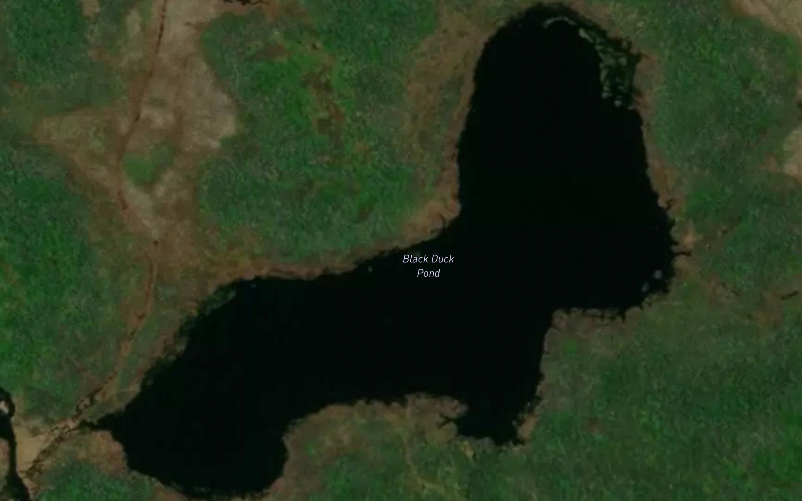 Black Duck Pond