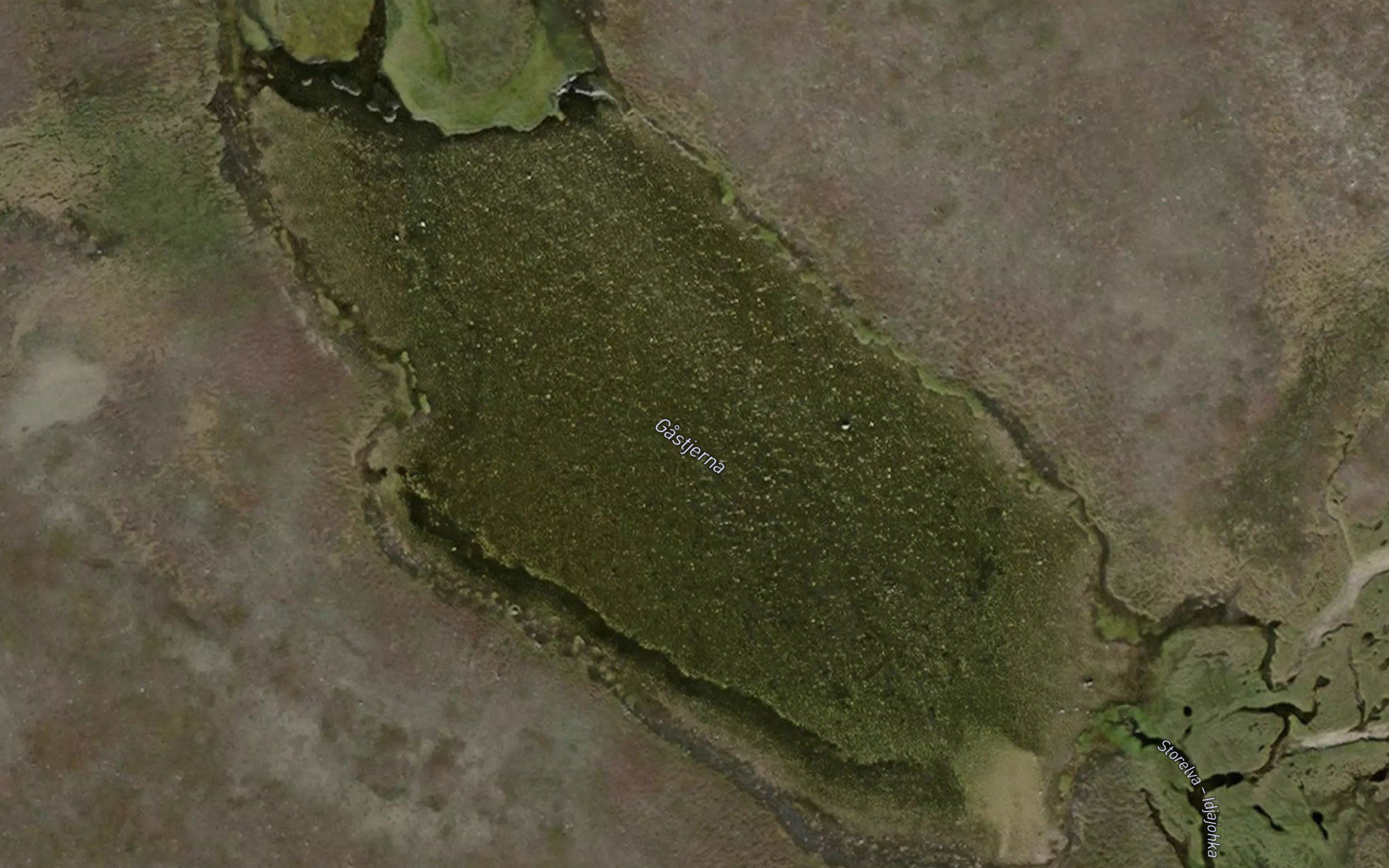 Gastjerna