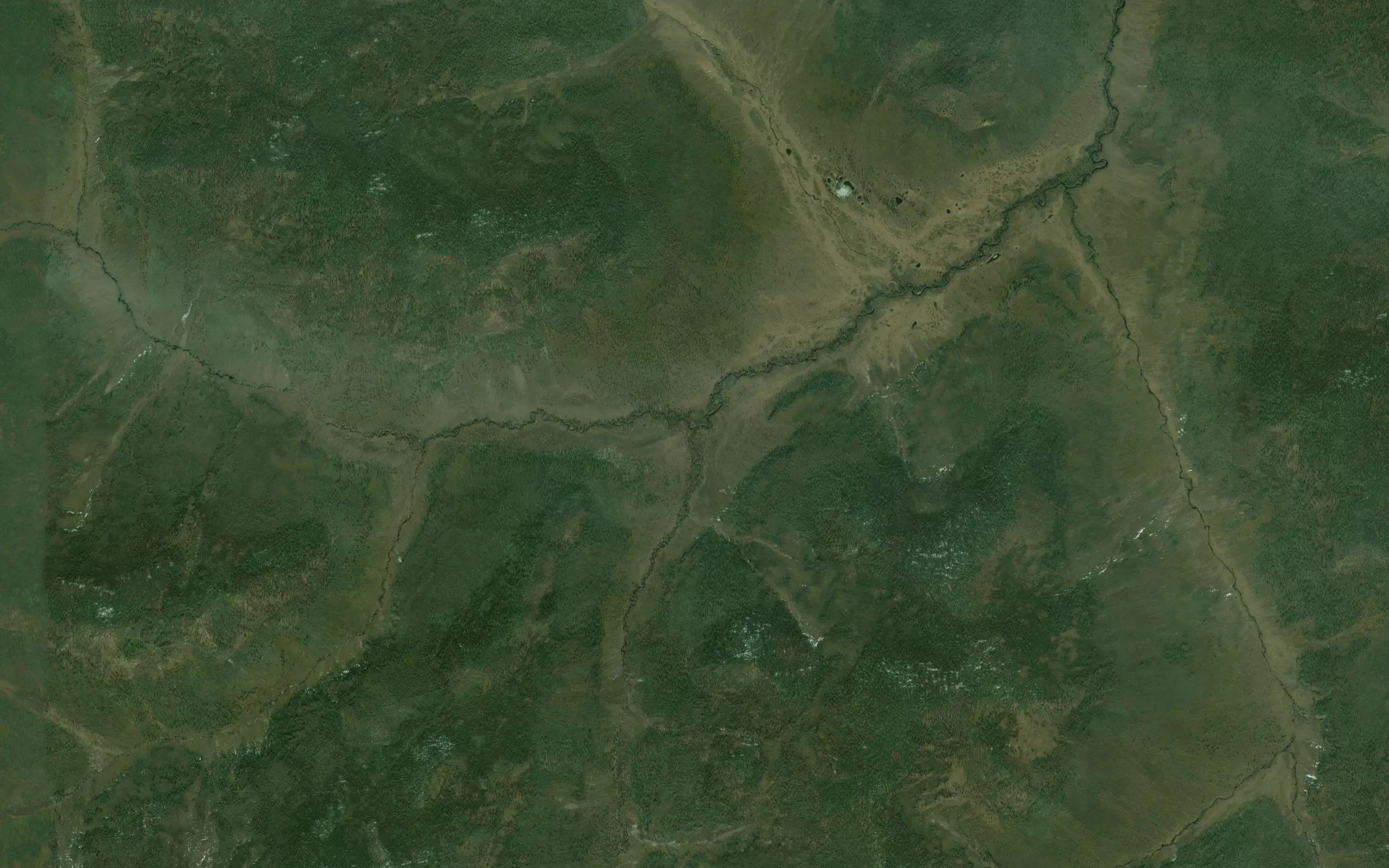 Kustarnikovyy
