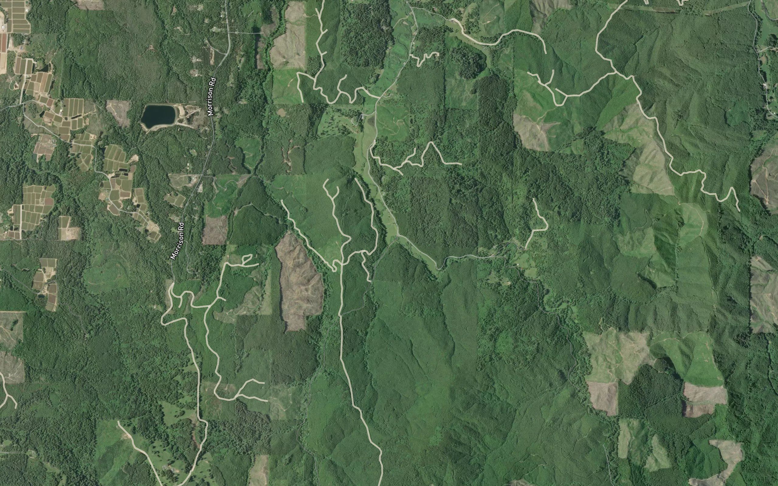 Mack Creek