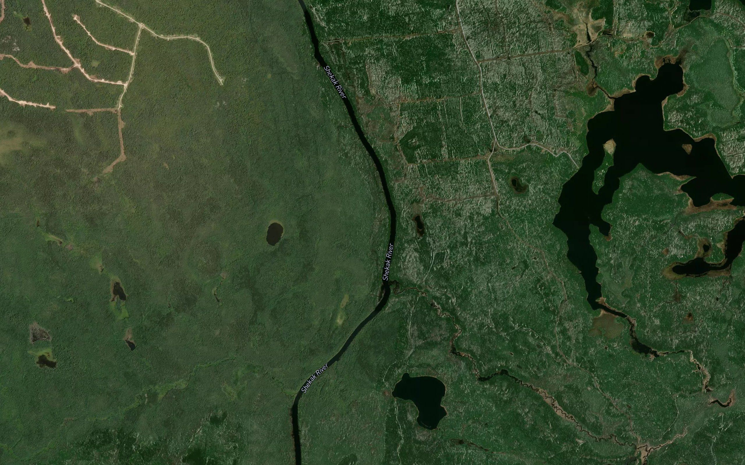 Bruce Creek
