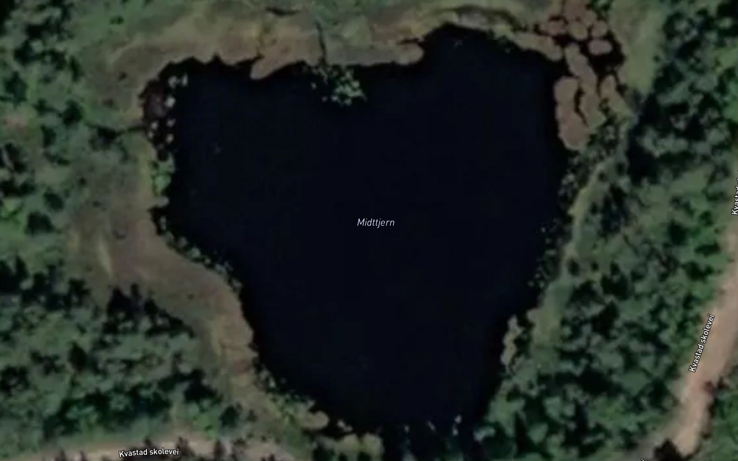 Midttjern