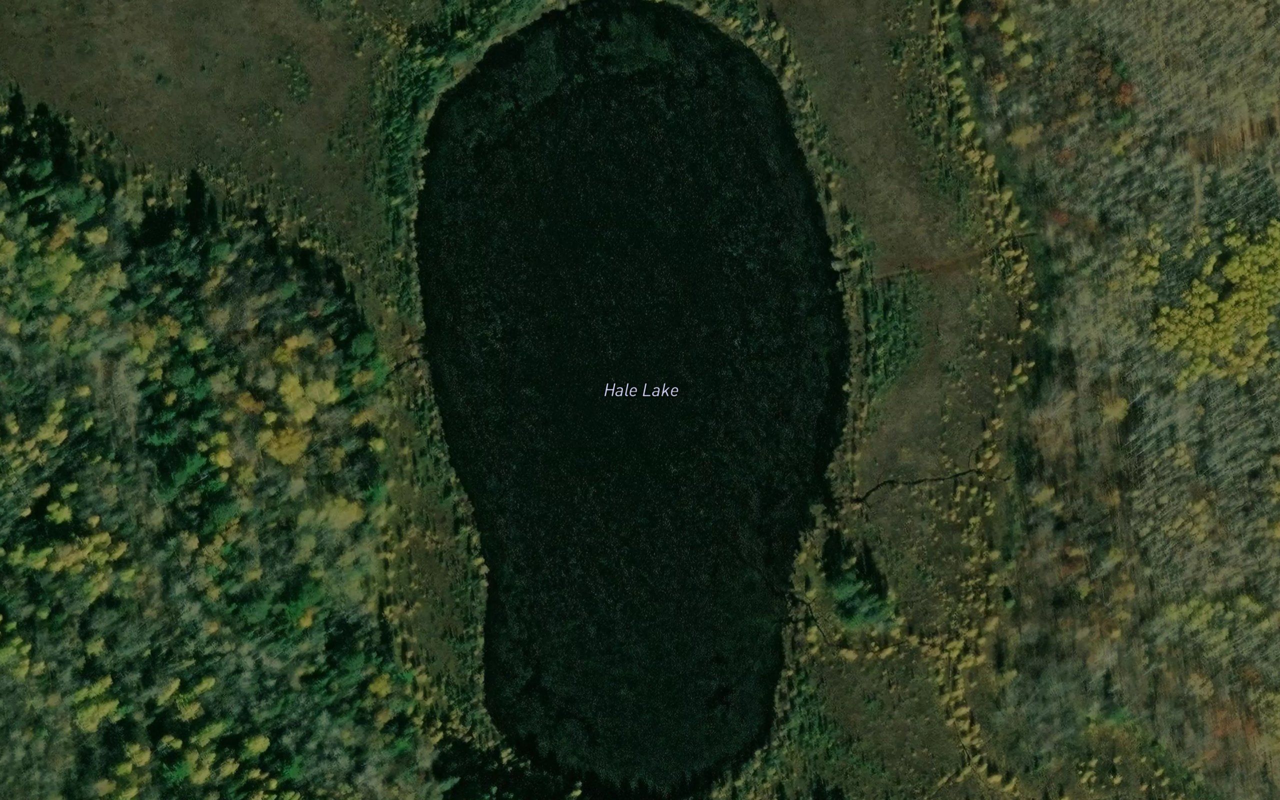Hale Lake