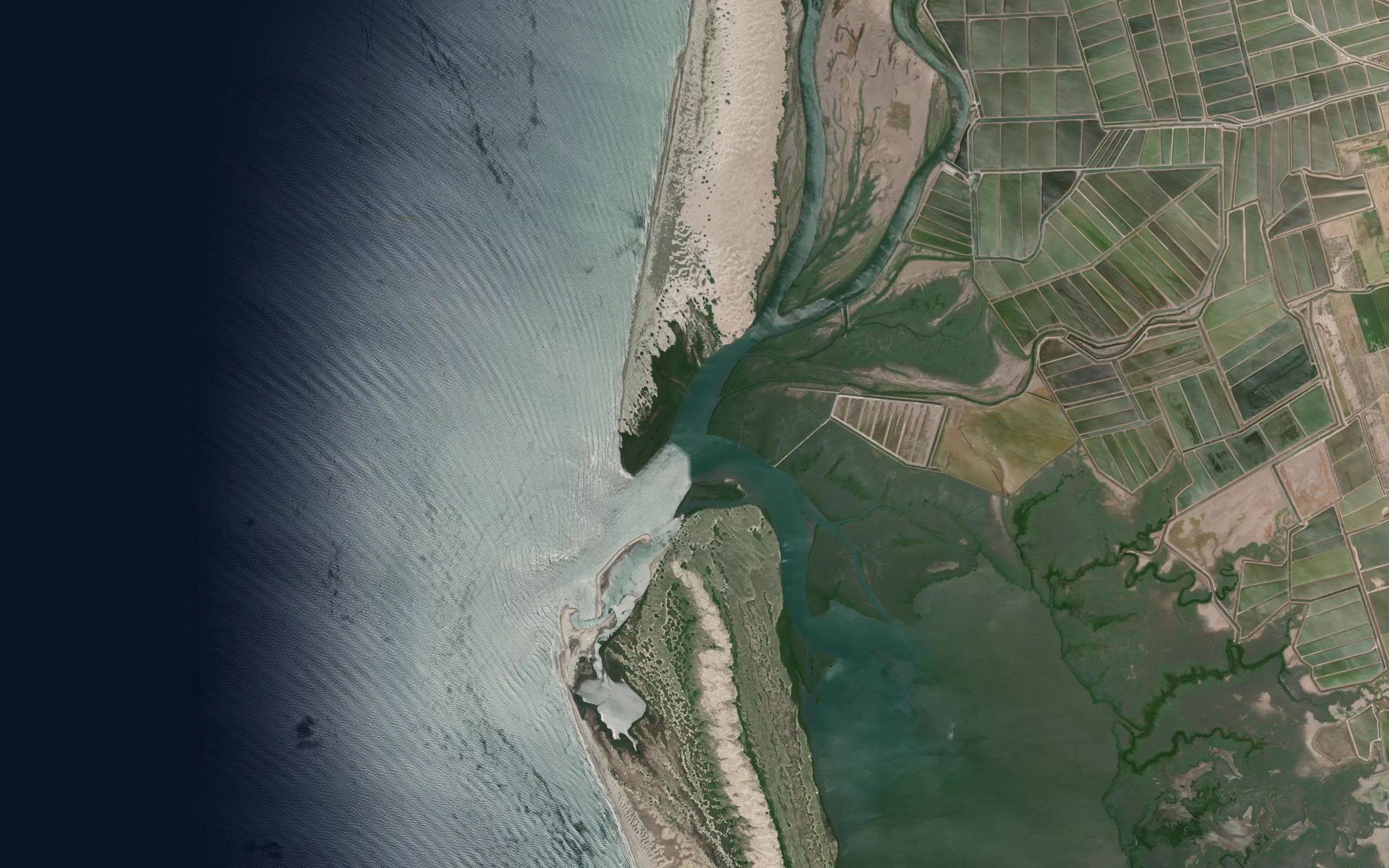 Rio Fuerte Nuevo