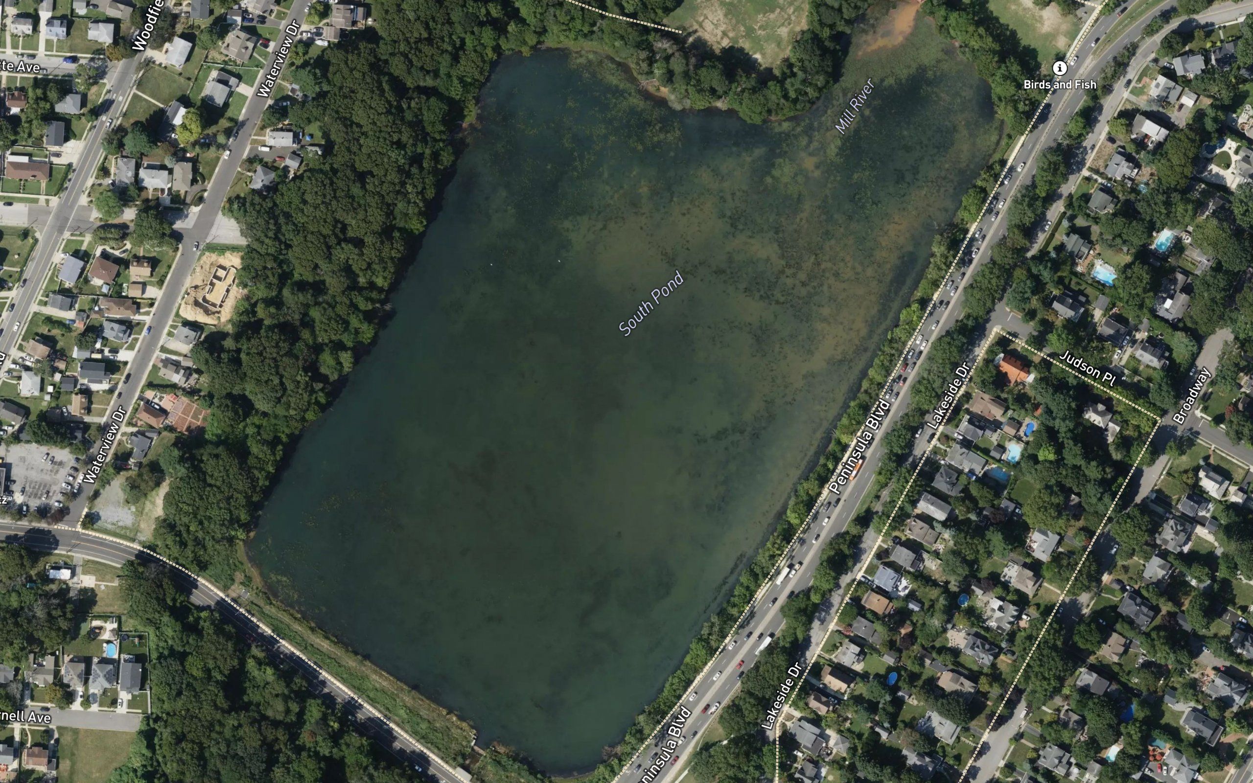 South Pond