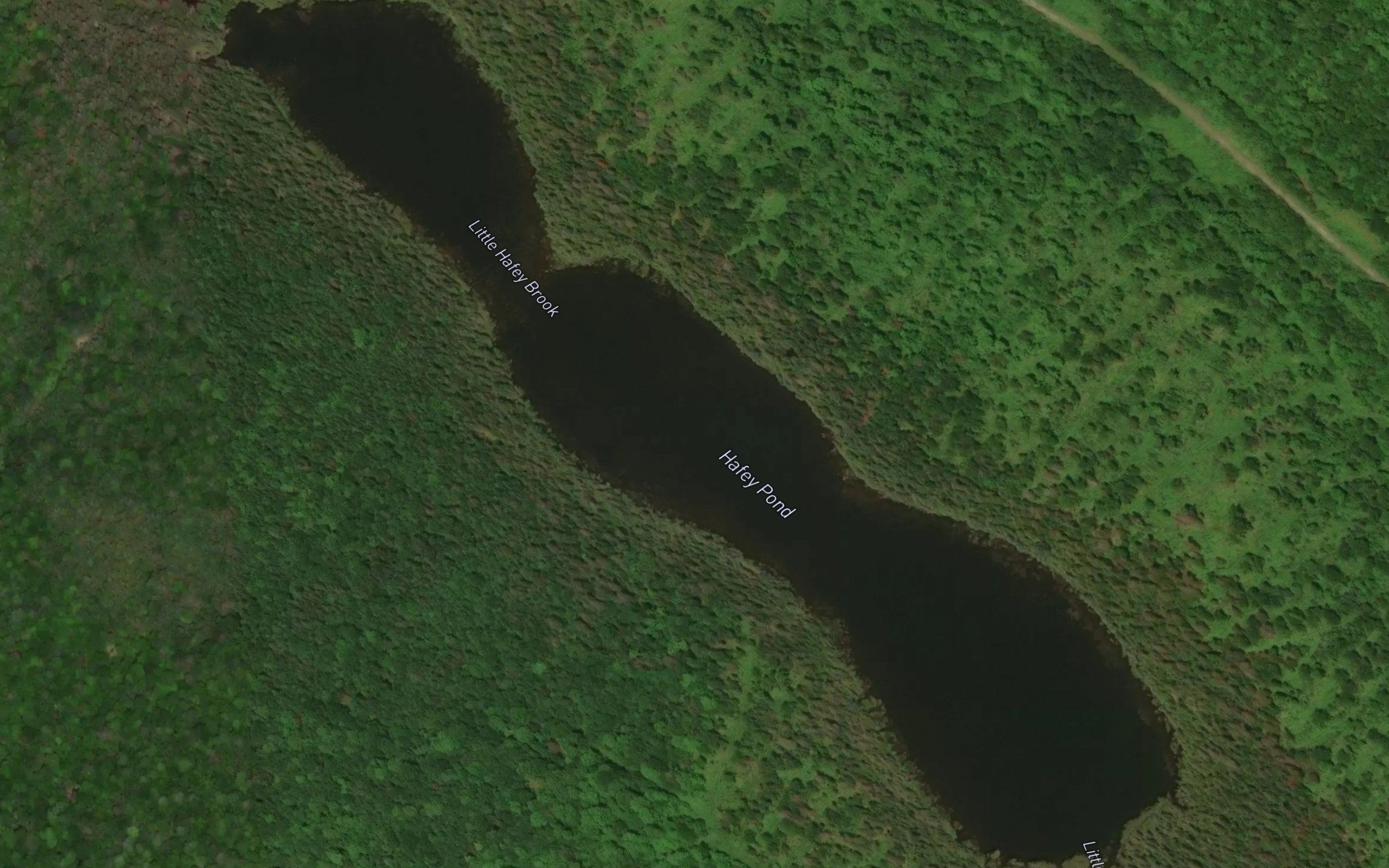 Hafey Pond