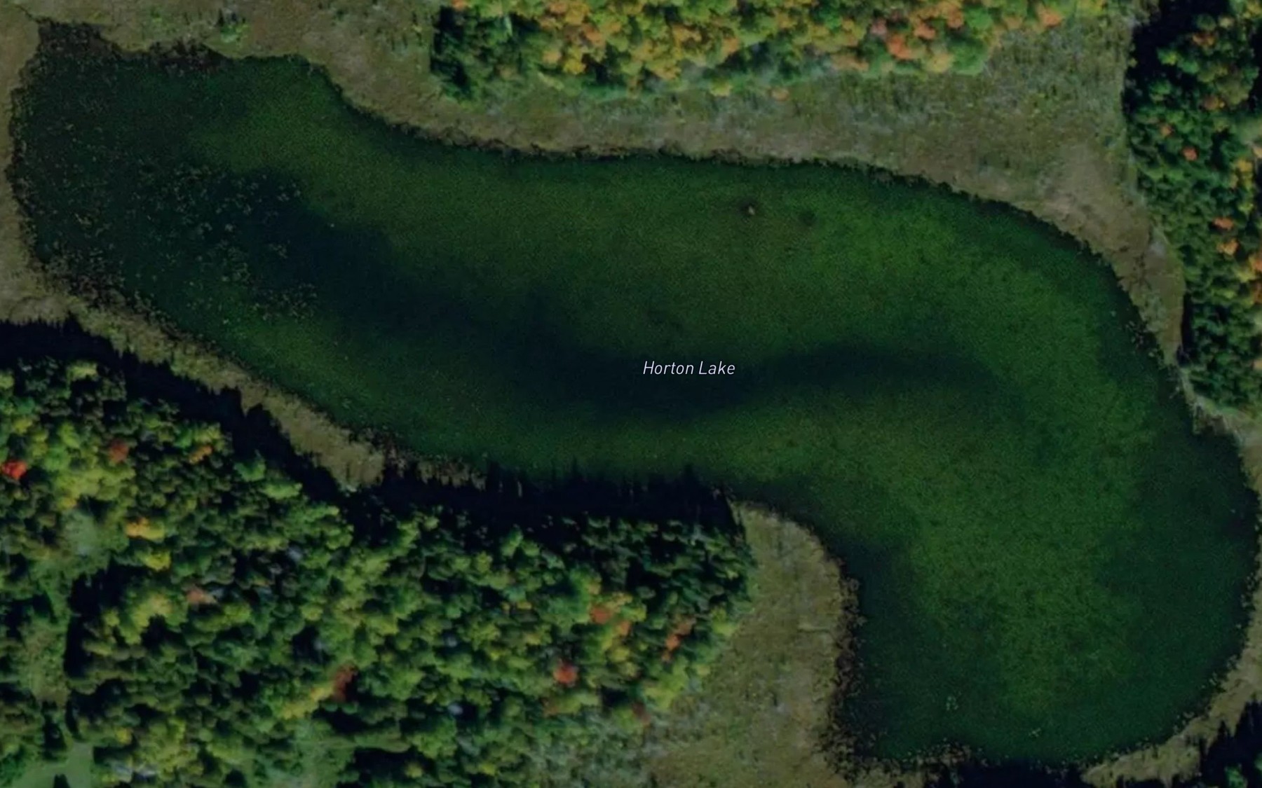 Satellite map of the Horton Lake