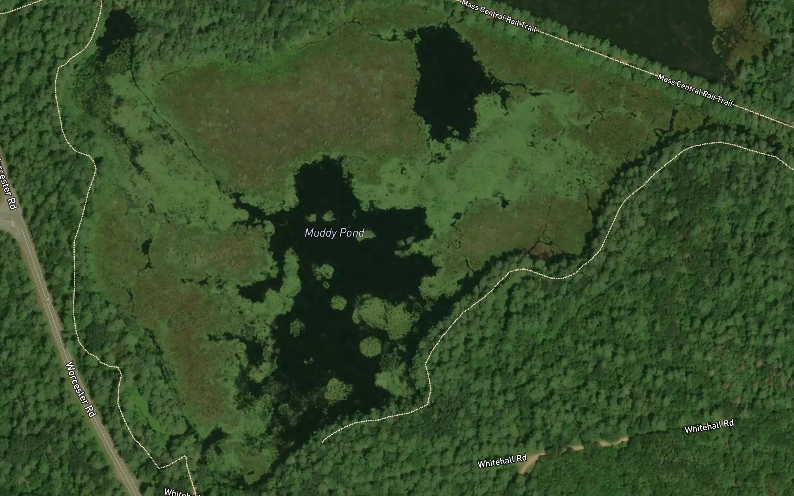 Muddy Pond