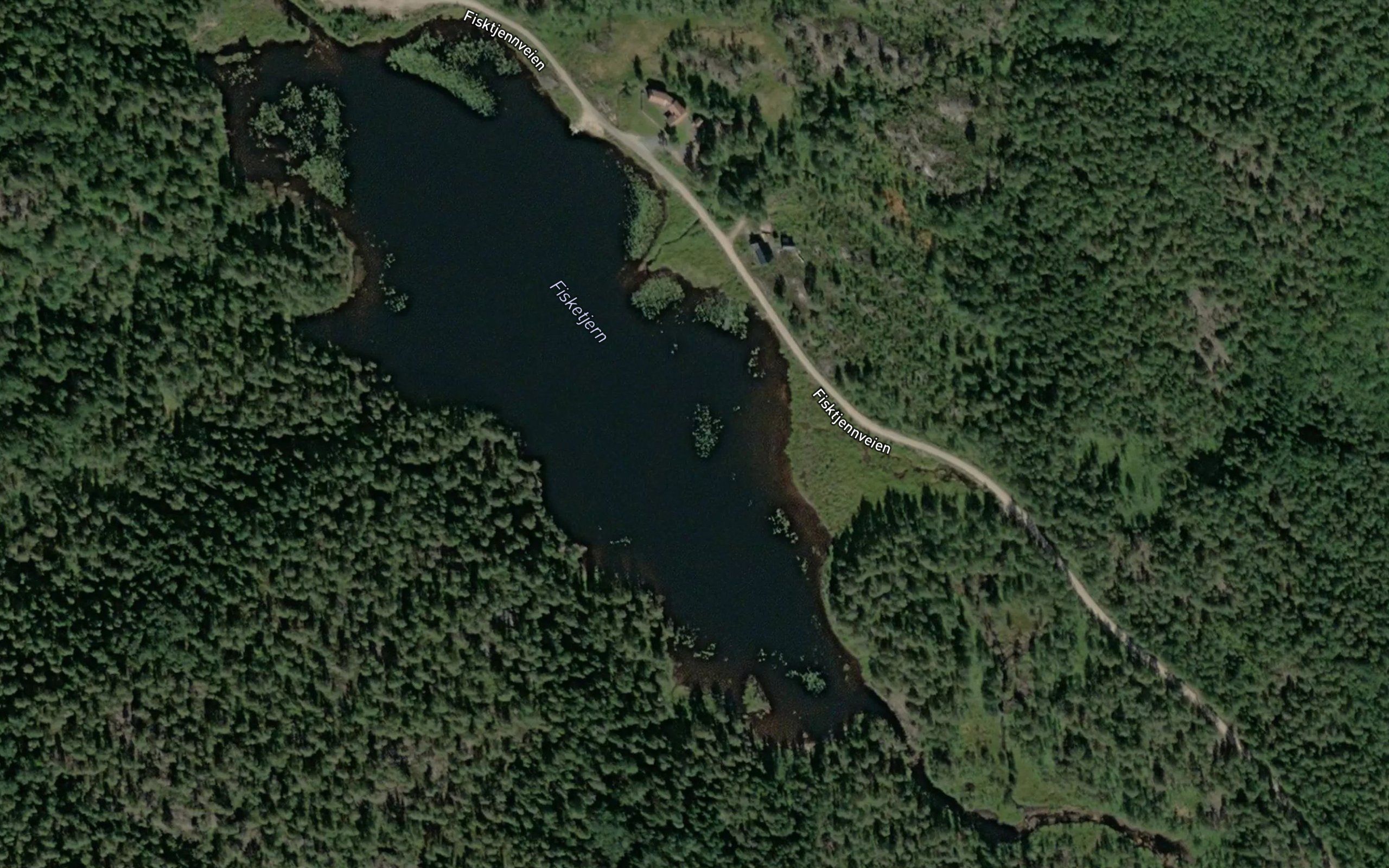 Fisketjern