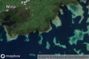 Southern Mangrove Swamps