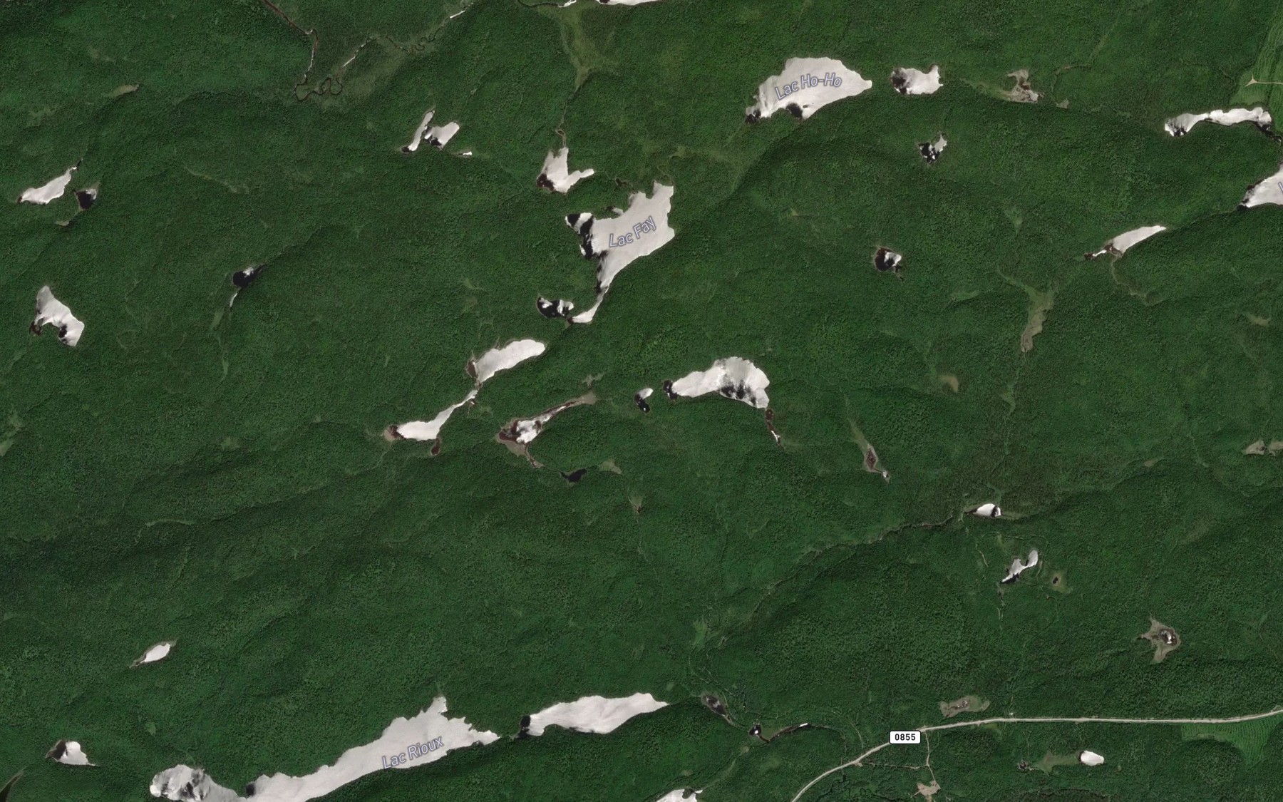 Satellite map of the Lac du Delice