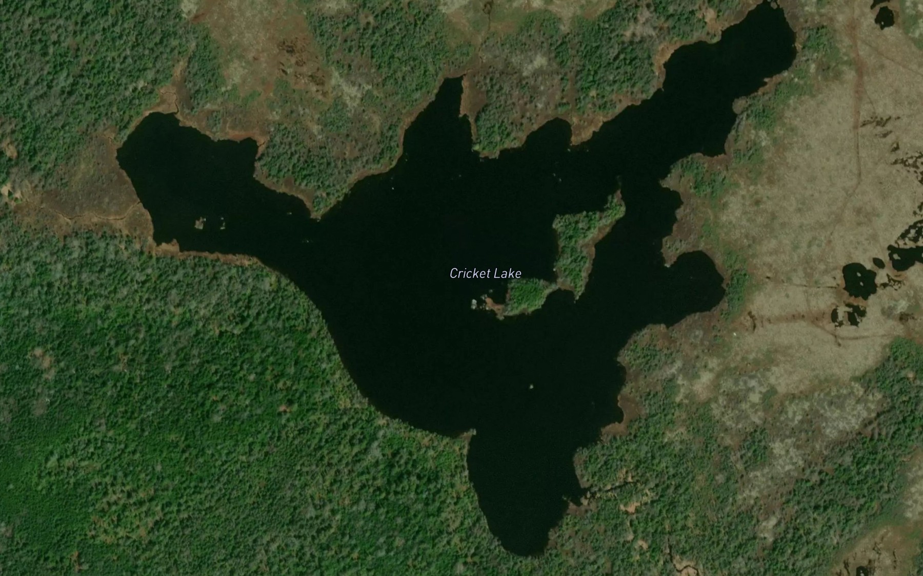 Satellite map of the Cricket Lake