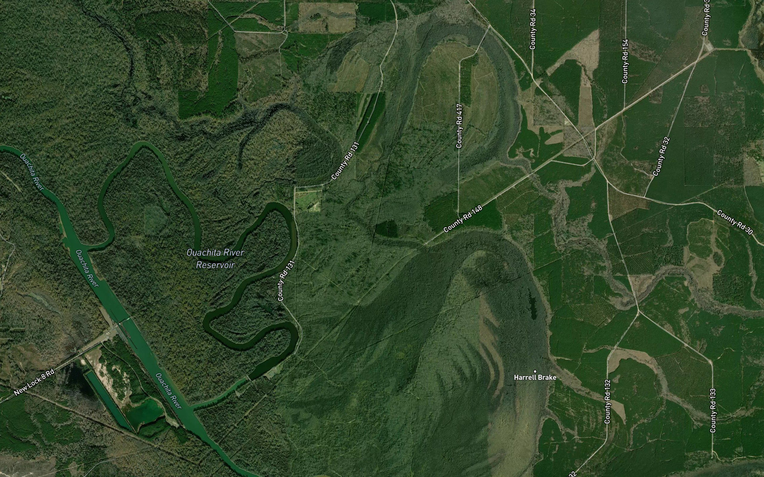 Birdseye Slough