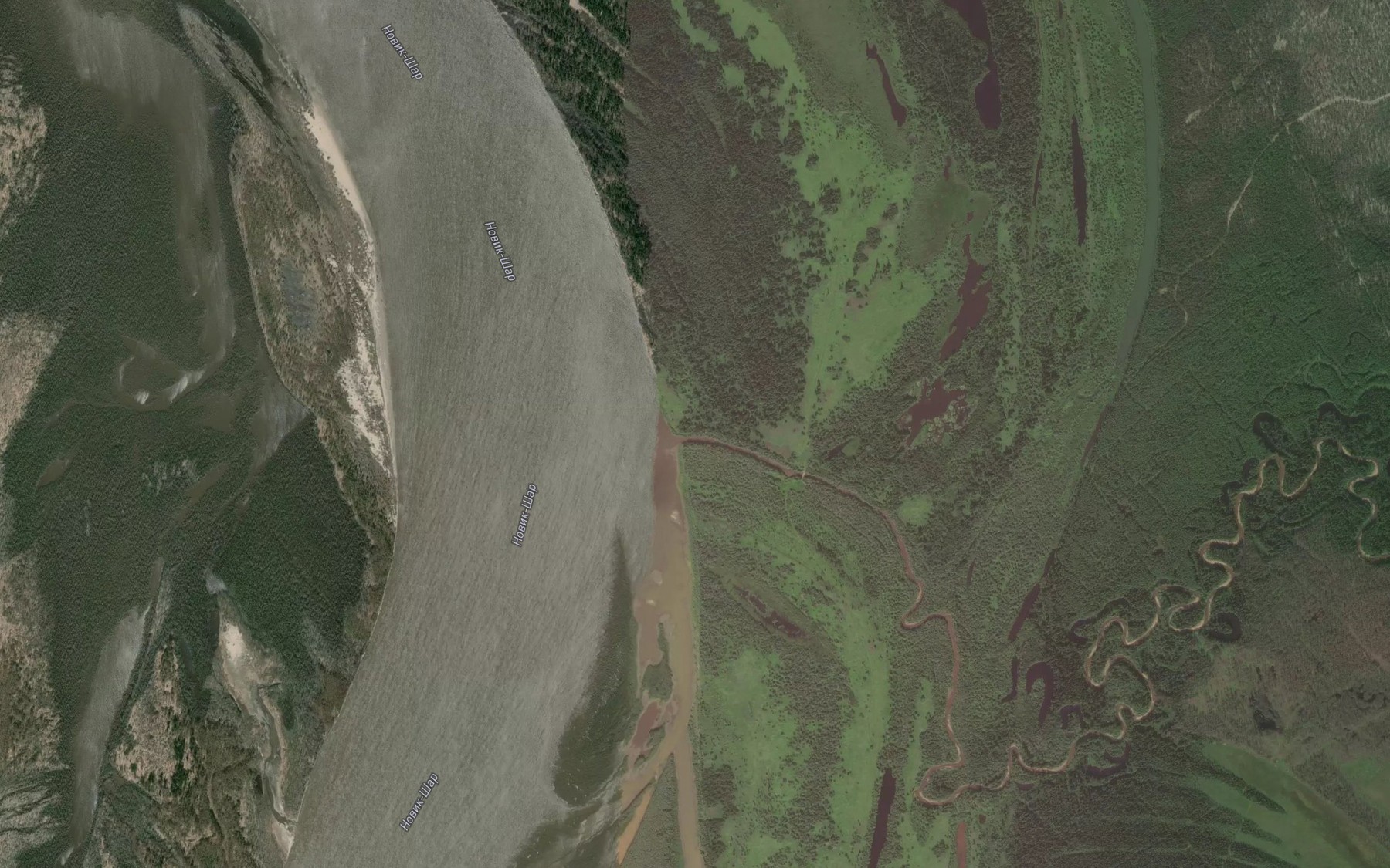 Satellite map of the Malaya Andryushkina