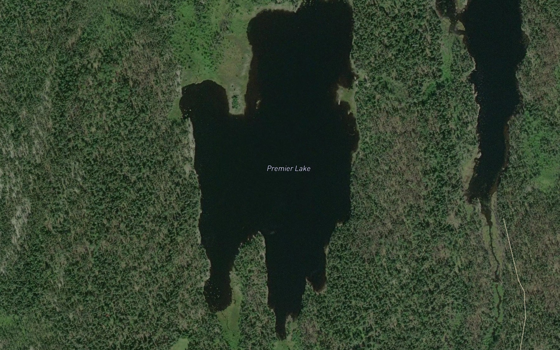 Satellite map of the Premier Lake