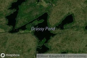 Grassy Pond