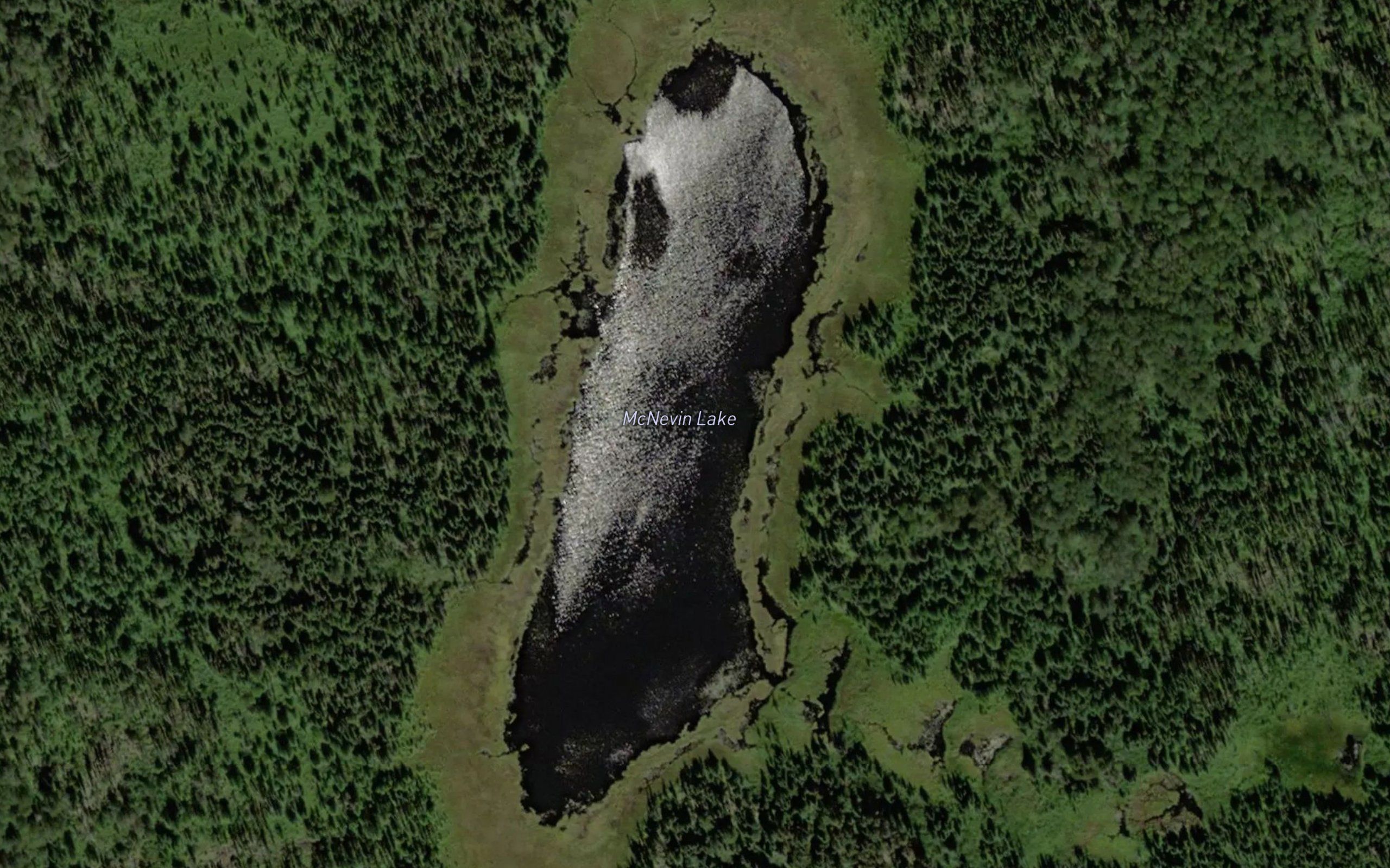 McNevin Lake