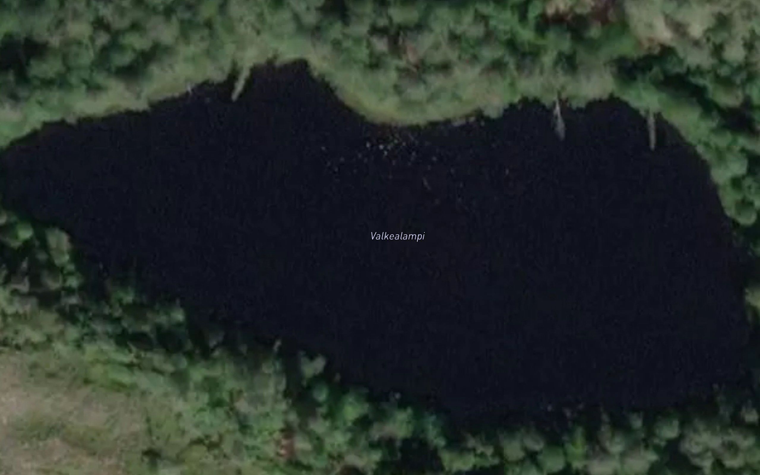 Valkealampi