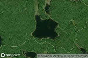 Tern Lake